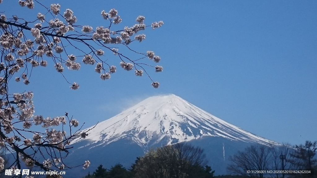 日本富士山风光