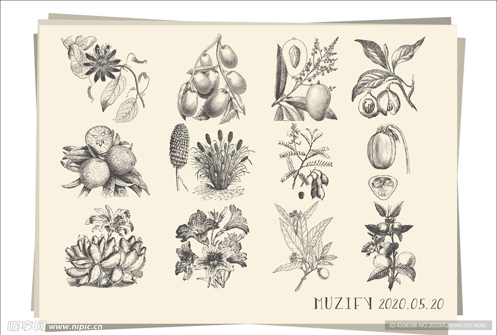 12款入花卉 水果手绘稿