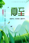 传统二十四节气夏至