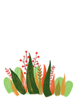 植物插画