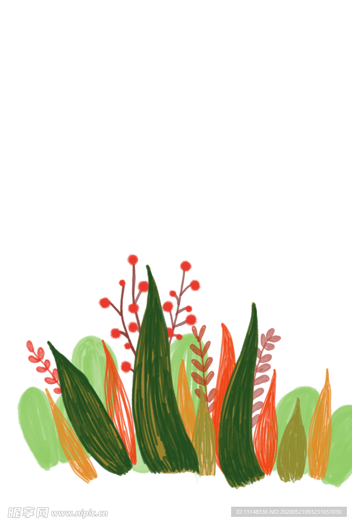 植物插画