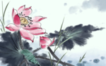 手绘荷花插画