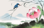 荷花插画