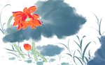 荷花插画