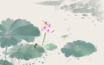 荷花插画