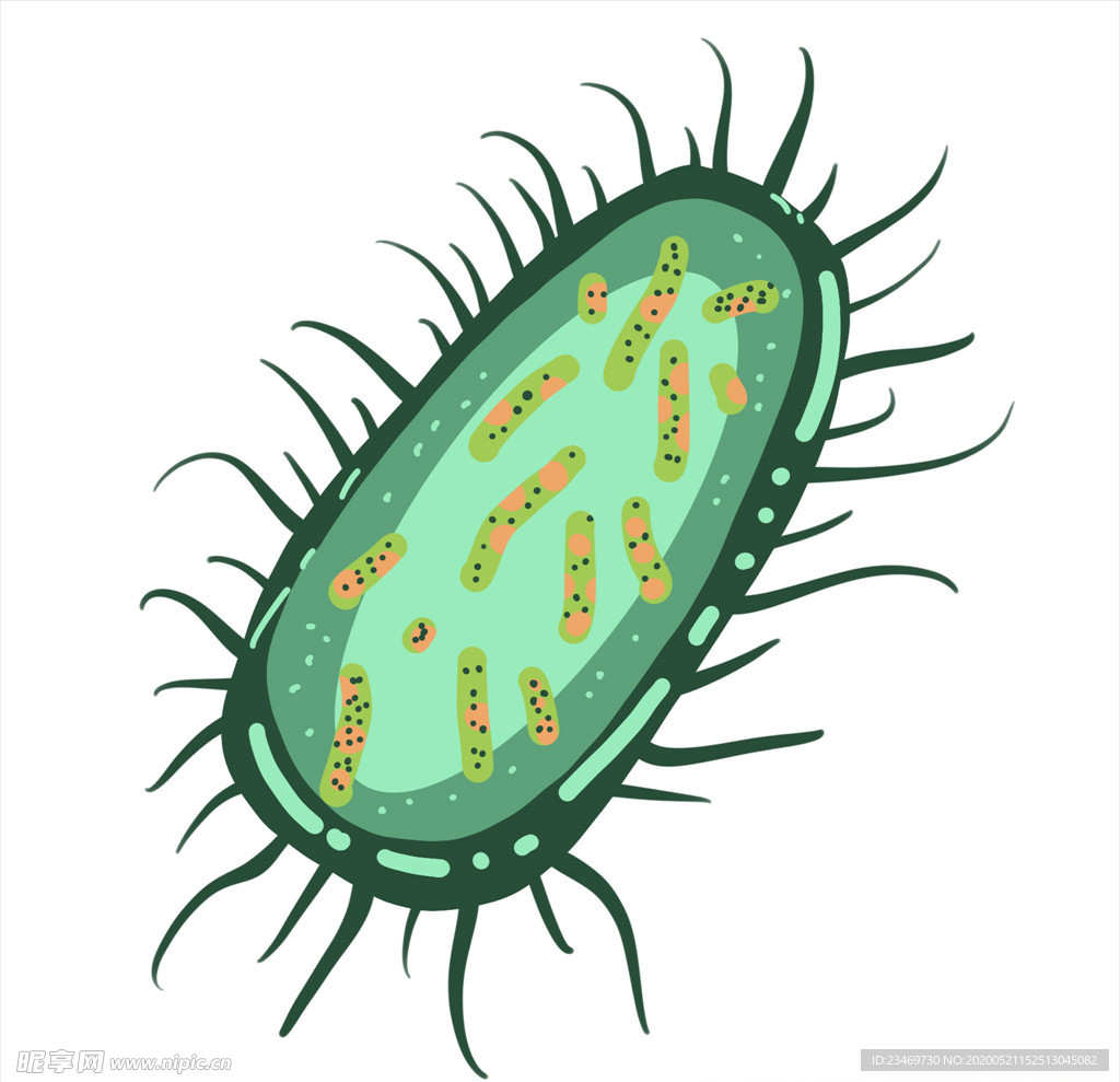 细菌 矢量细菌 卡通细菌 手绘