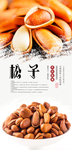 松子PSD分层海报