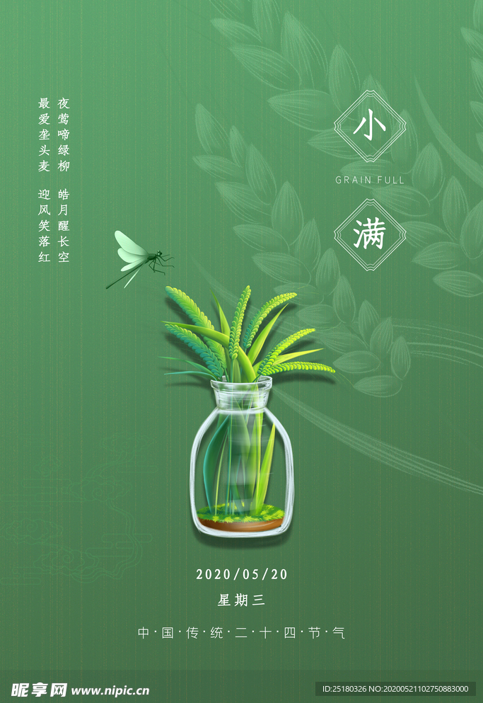 小满节气海报