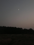 夜景