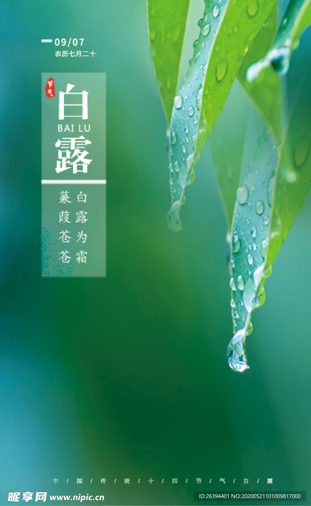 白露