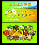 蜂糖名片