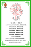 穴位图