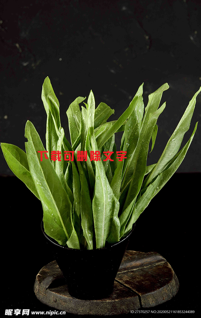 油麦菜