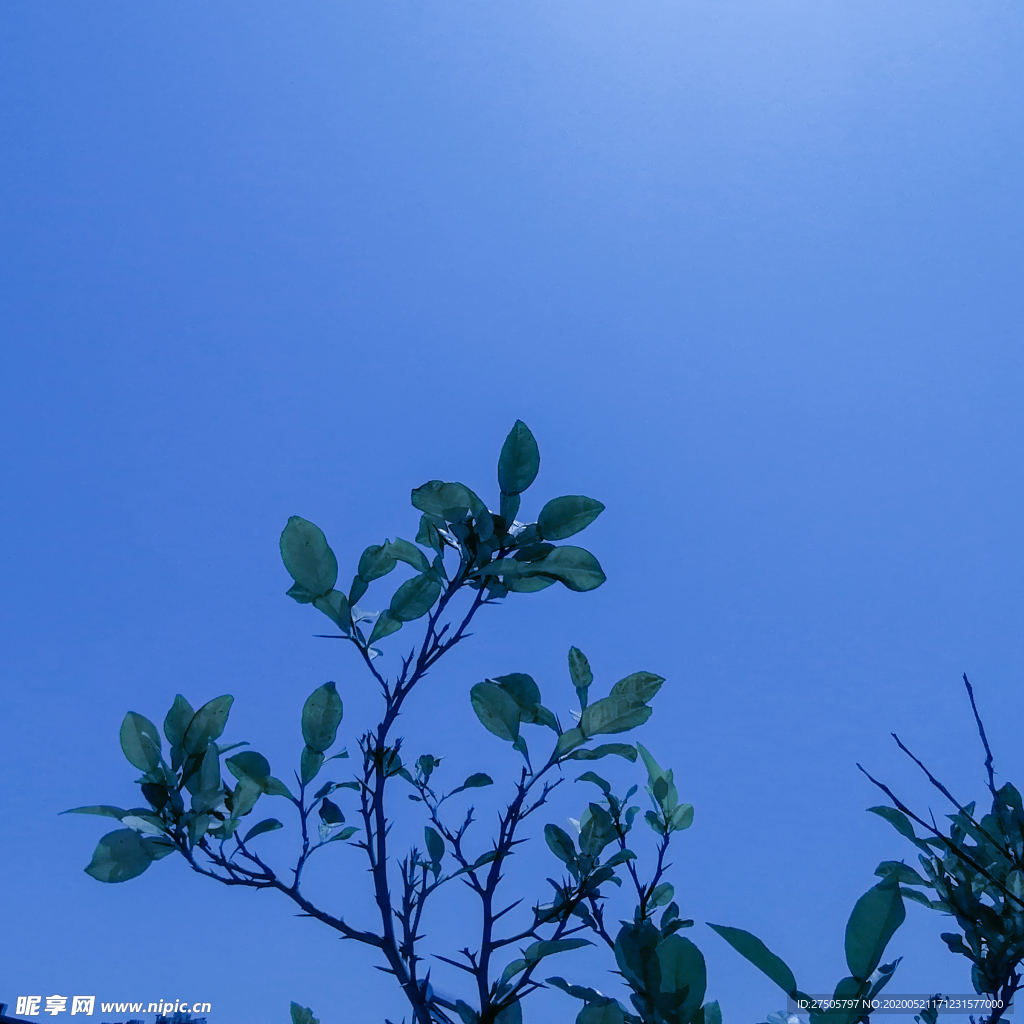天空