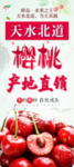 樱桃展架