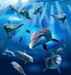 海底世界