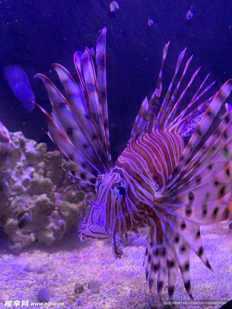 海底风光