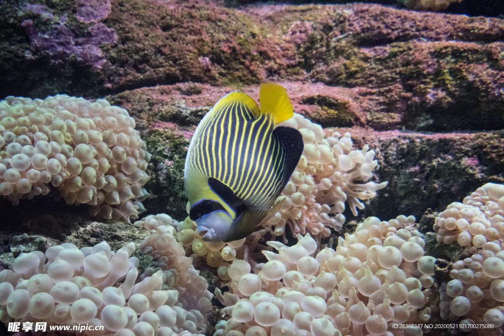 海底风光