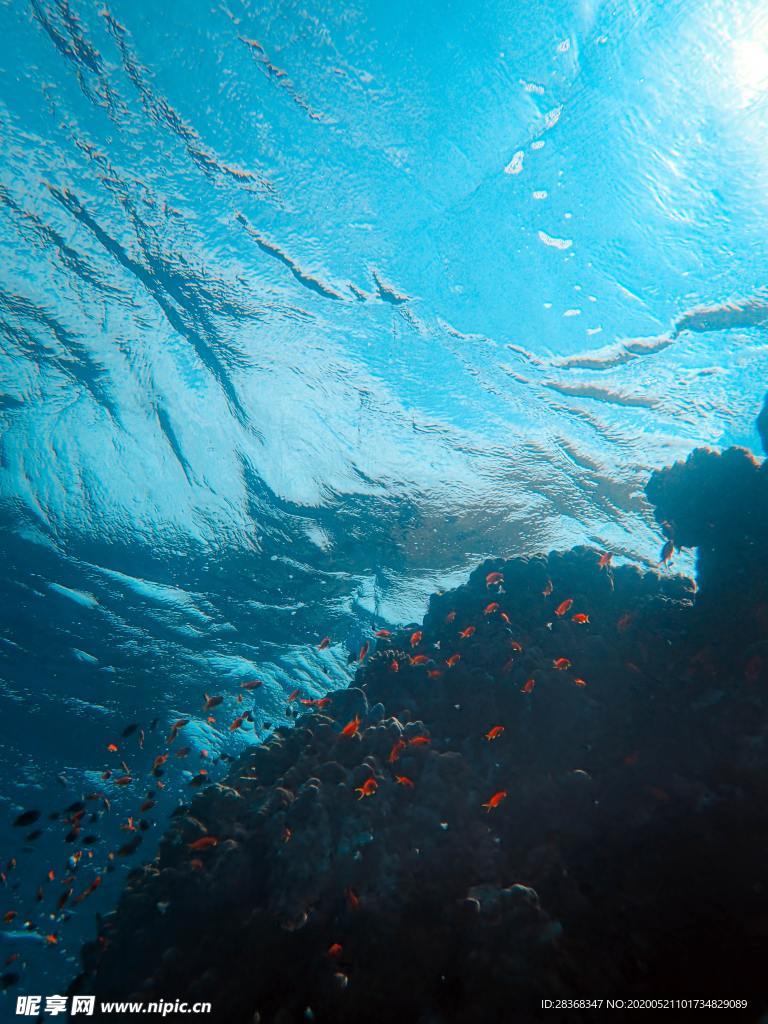 海底风光
