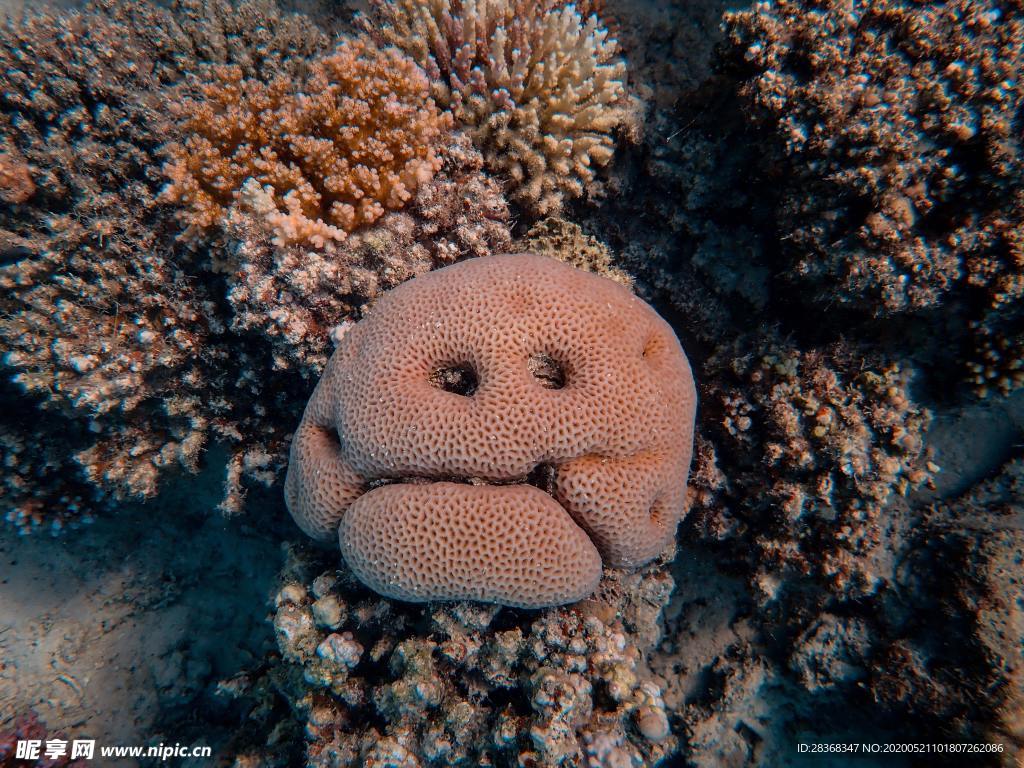 海底风光