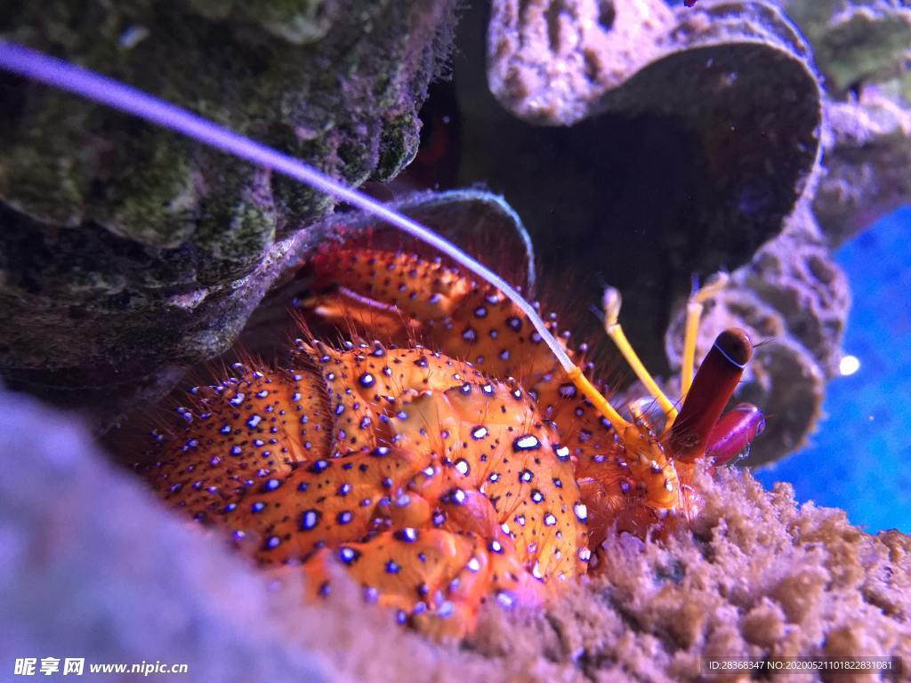 海底风光