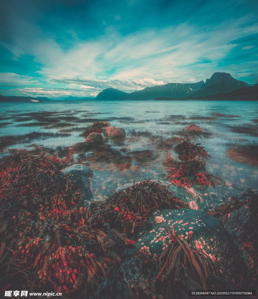 海底风光