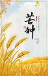 传统二十四节气芒种主题海报