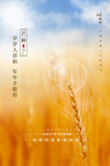 传统二十四节气芒种主题海报