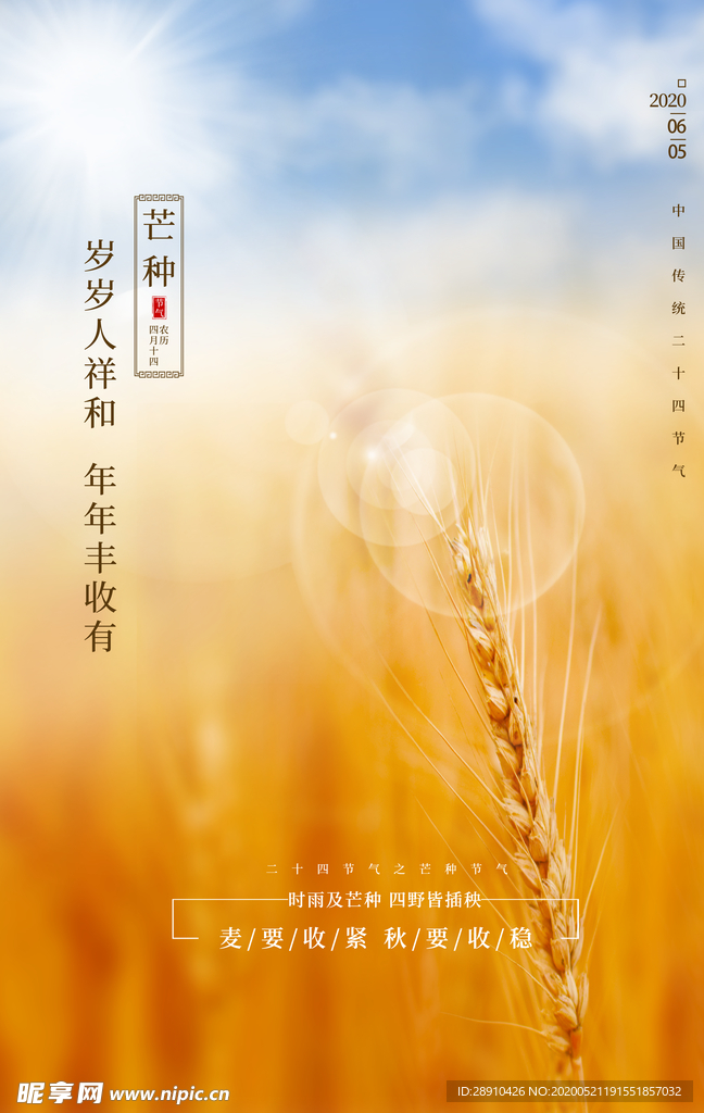 传统二十四节气芒种主题海报