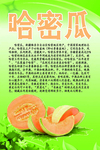 水果文化系列之哈密瓜