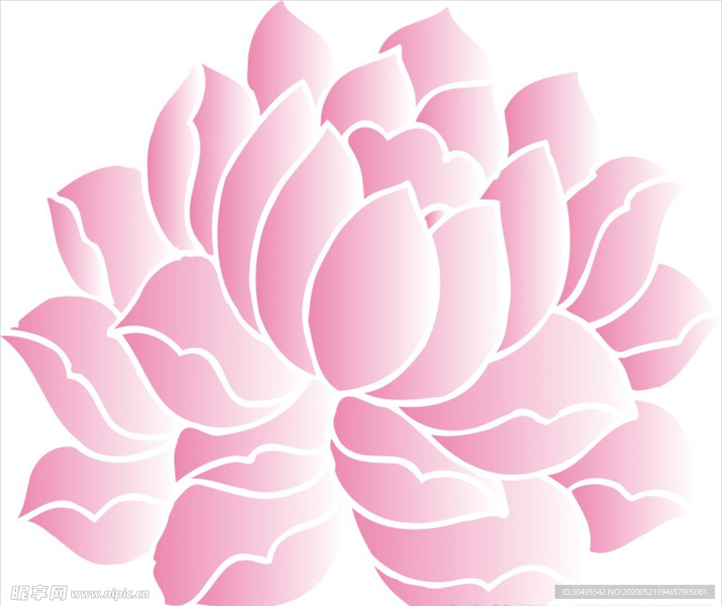 手绘莲花