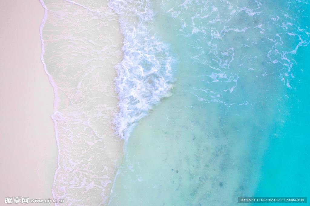 海