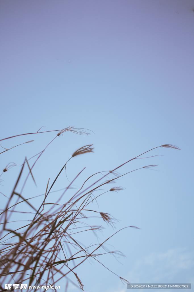 天空