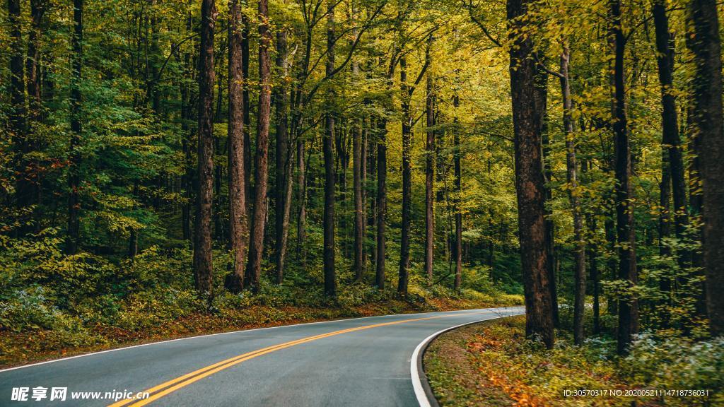 公路