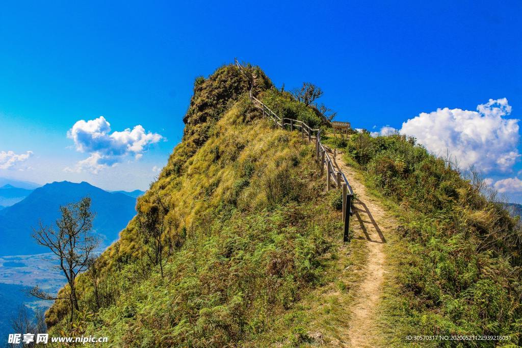 风景