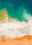 海