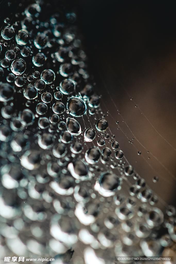 水珠