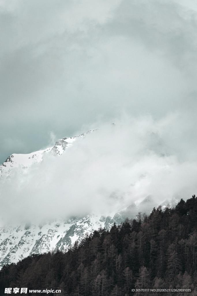 风景