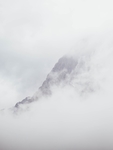 风景