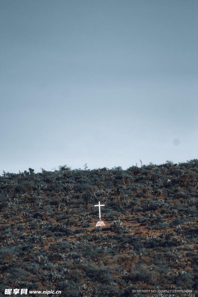 风景