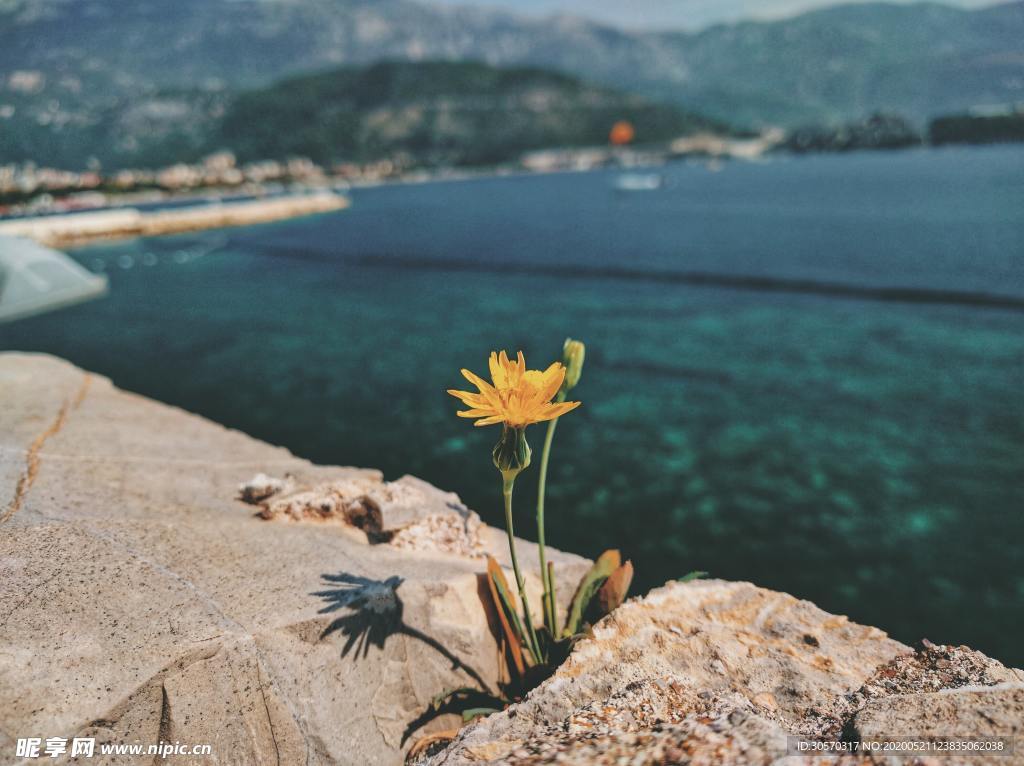 小花