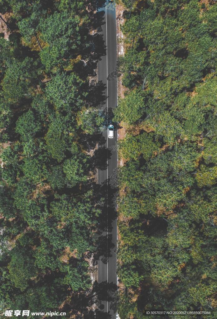风景