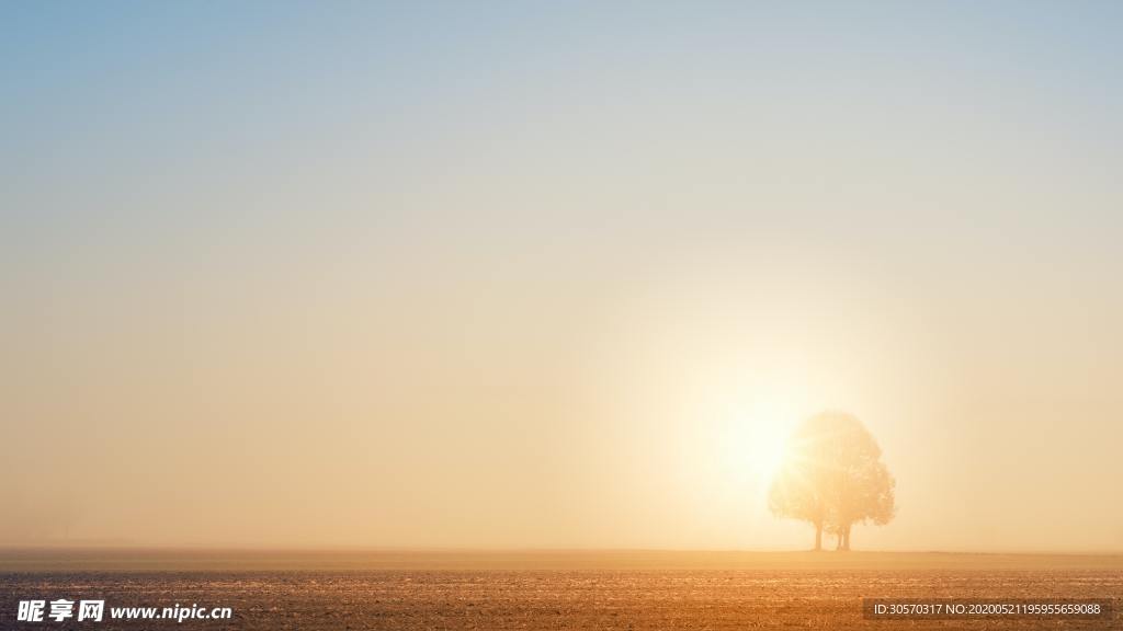风景