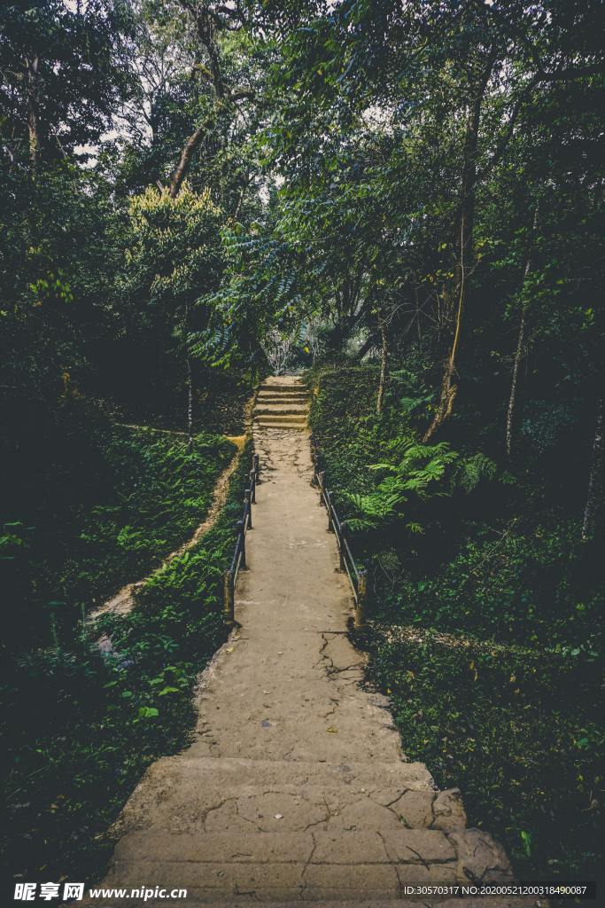 风景