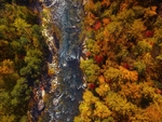风景