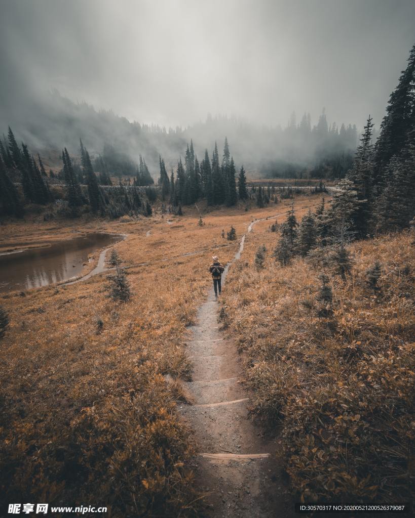 风景