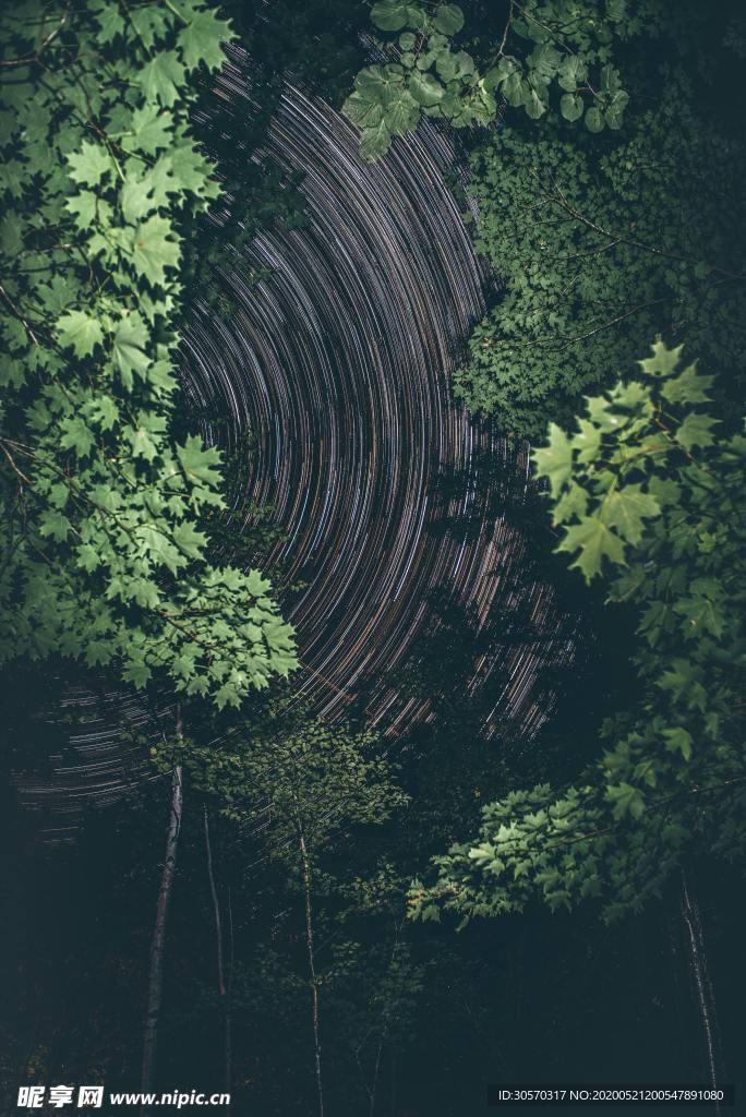 风景