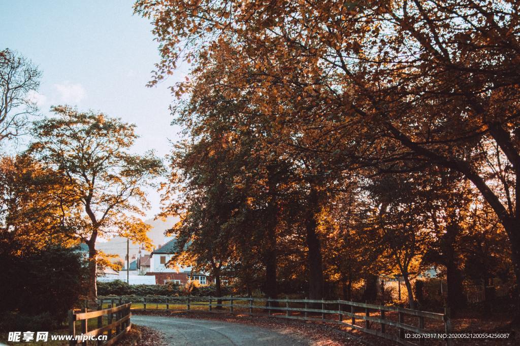 风景