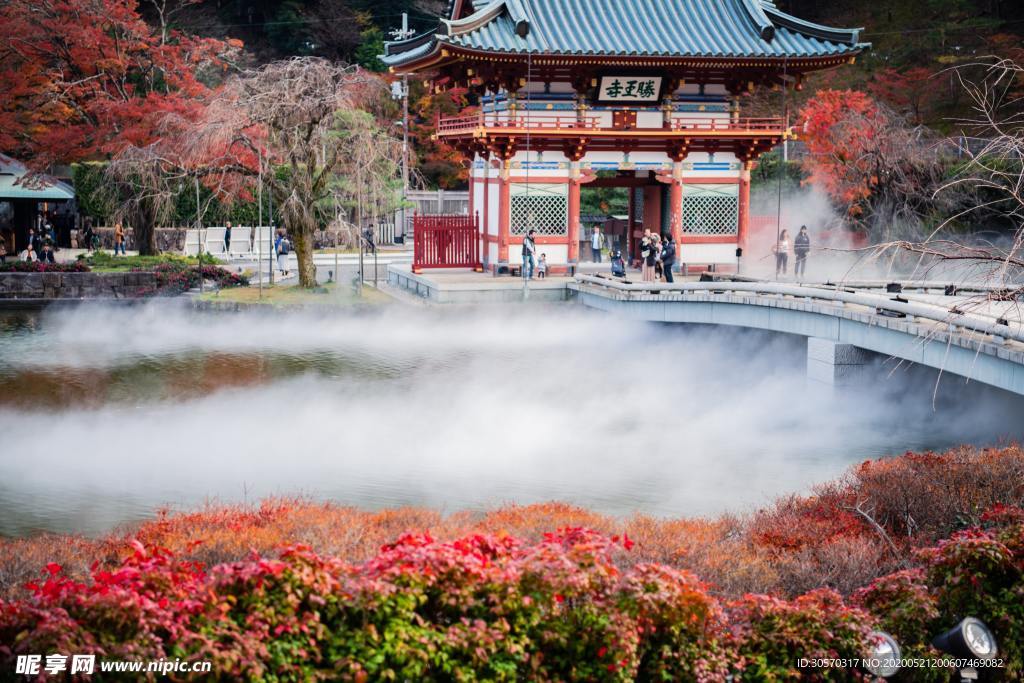风景
