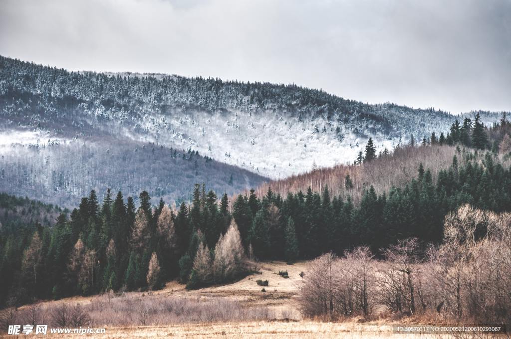 风景